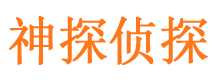 谢家集寻人公司